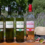Discovering the wines of Pays d’Oc