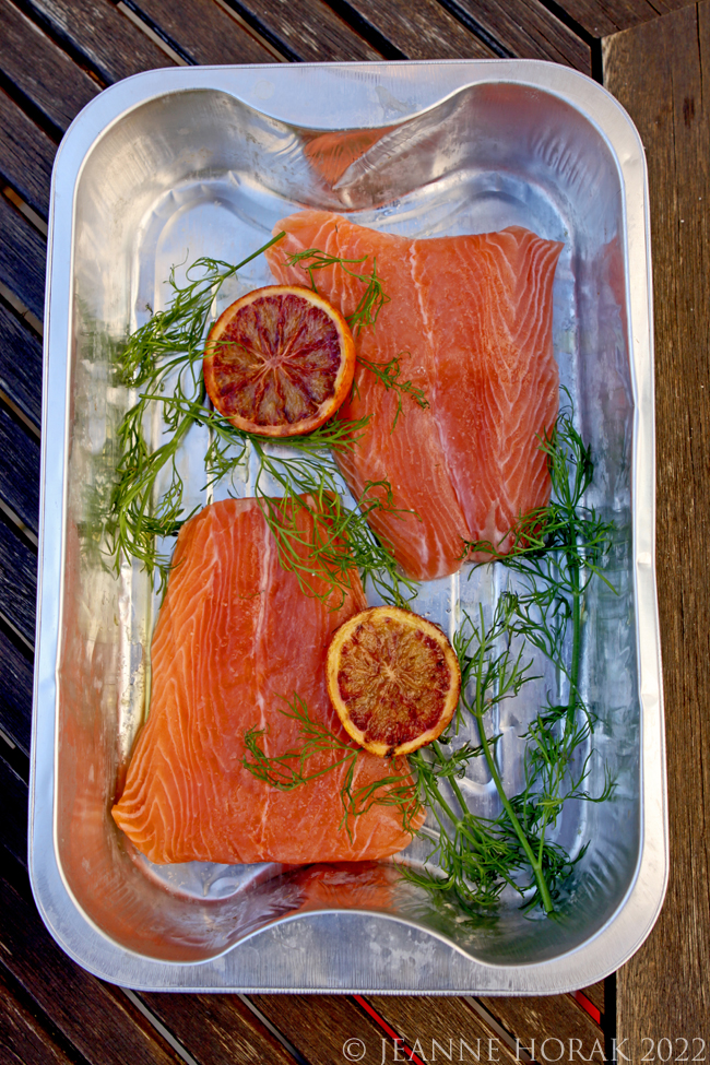 raw salmon with blood oranges and dill